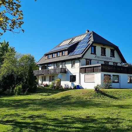 Appartement Haus Schonblick à Kniebis Extérieur photo